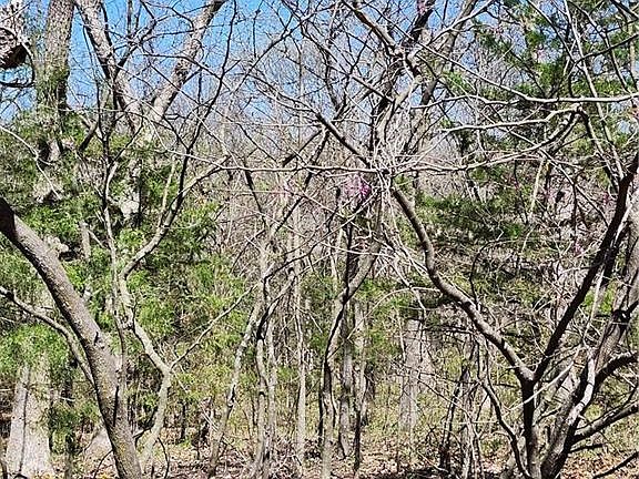 3rd image of 185 Wilderness Trl