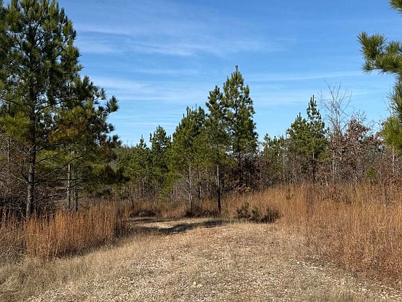 3rd image of County Road 70