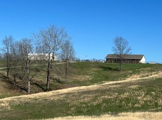 4110 Bado Rd, Cabool, MO 65689