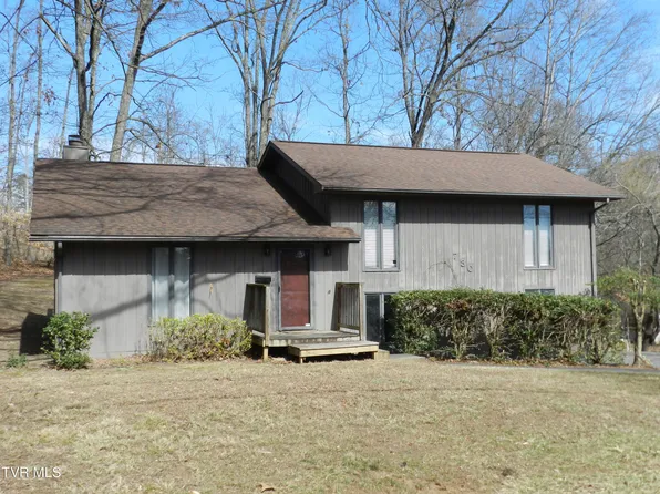 730 Dover Ave, Mount Carmel, TN 37645