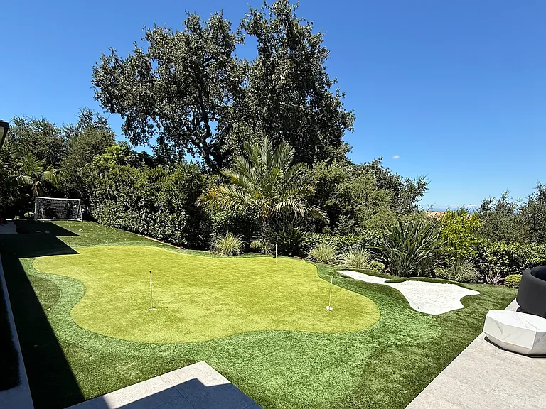 Alexis Dr — Photo 17