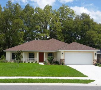 9791 Pepper Tree Pl, Wildwood, FL, 34785