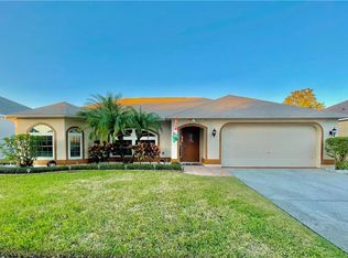 4112 Amber Ridge Ln, Valrico, FL 33594