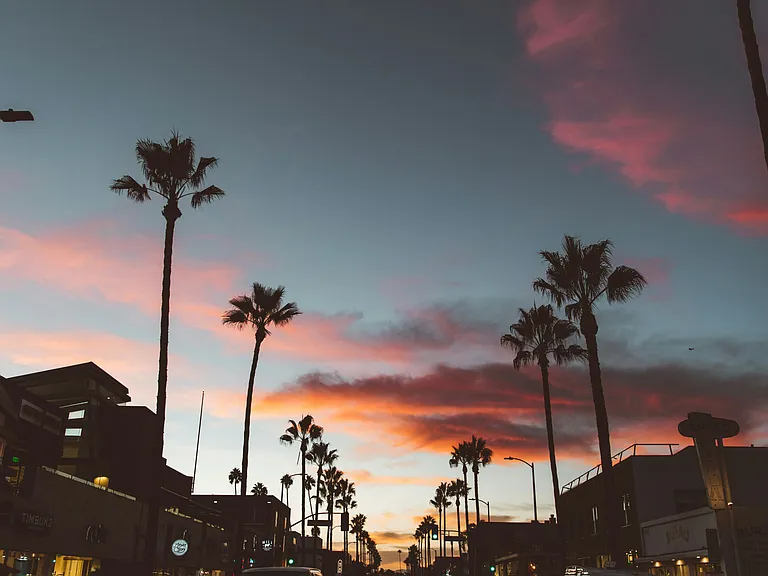 Ella Abbot Kinney — Photo 47