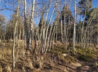 107 Starling Way, Como, CO 80432