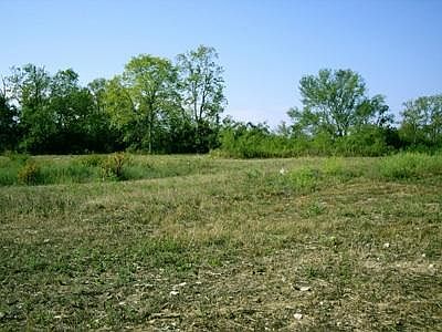 5th image of 320 Chrisman Oaks Trl