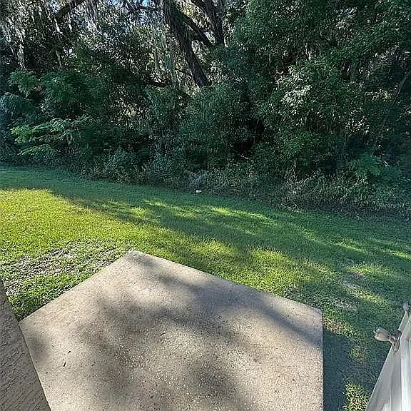 The Flats at Belleview — Photo 87