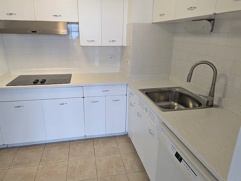 6301 N Sheridan Rd #18J — Photo 13