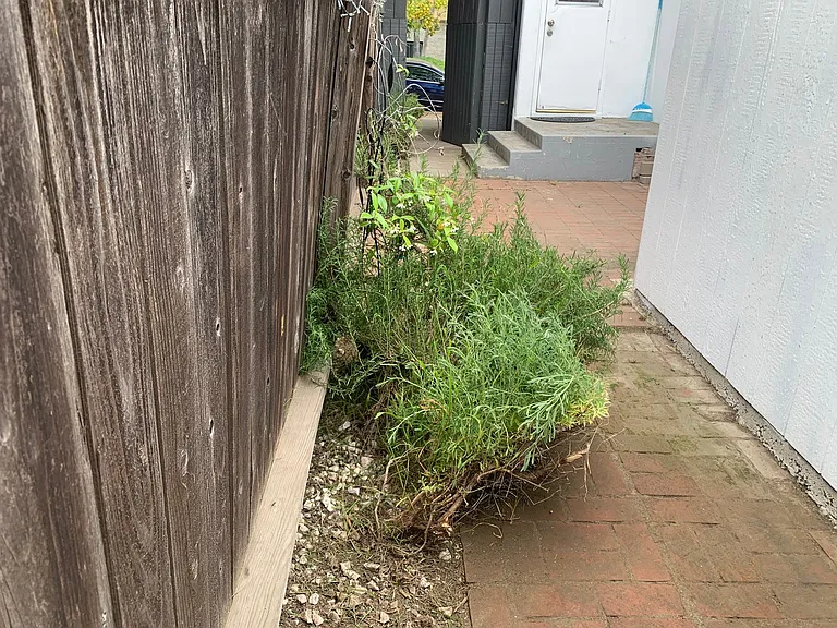 4231 Alcove Ave — Photo 7