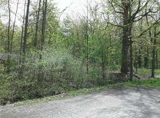 Kenilworth Ave, Sheffield lake, OH