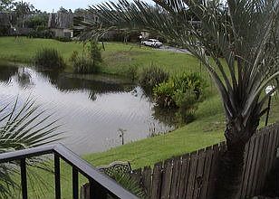 View from the Guest Bedroom