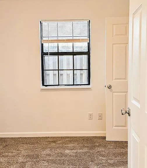 Beautifully updated 4 Bedroom/2 Bathroom downstairs apartment — Photo 5