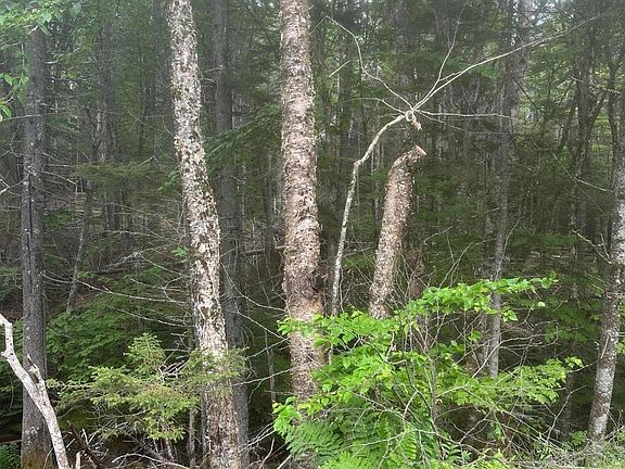 3rd image of 16 Smalls Point Road
