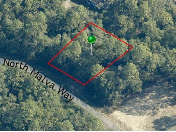 4th image of 10725 N Malva Way