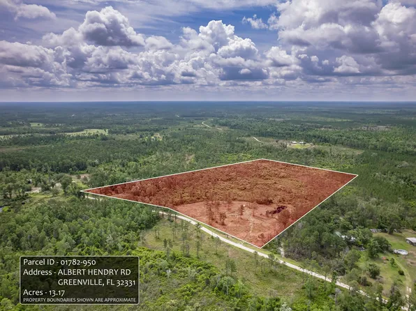 0 Albert Henry Rd, Perry, FL 32348