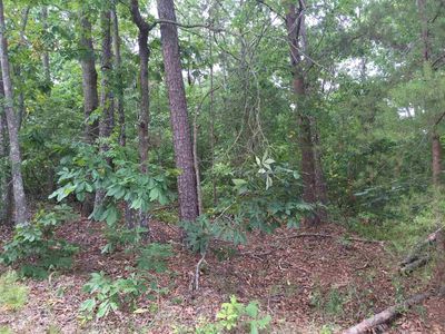 1 Pirkle Leake Rd, Dawsonville, GA, 30534