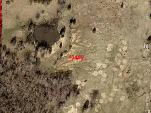 44900 Road, Blossom, TX 75416