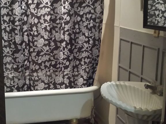 Clawfoot tub with shower