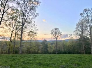 1029 Hanks St, Traphill, NC 28685