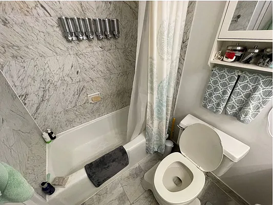 Rented by BATTERY PARK CITY RESIDENTIAL LLC | media 6