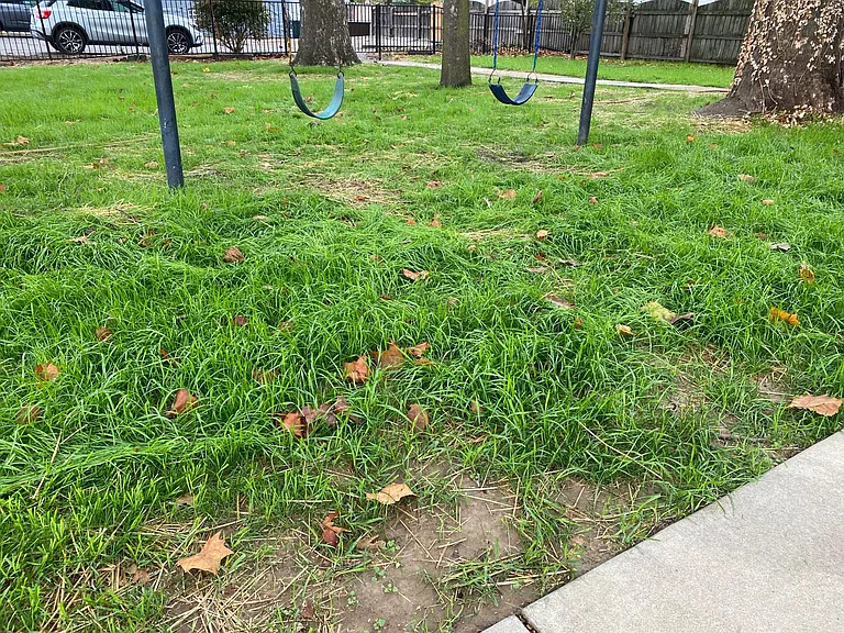 Swings and Grass!