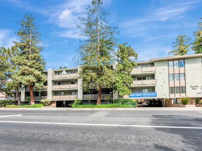 Brewster Redwoodcity, Redwood City, CA, 94063