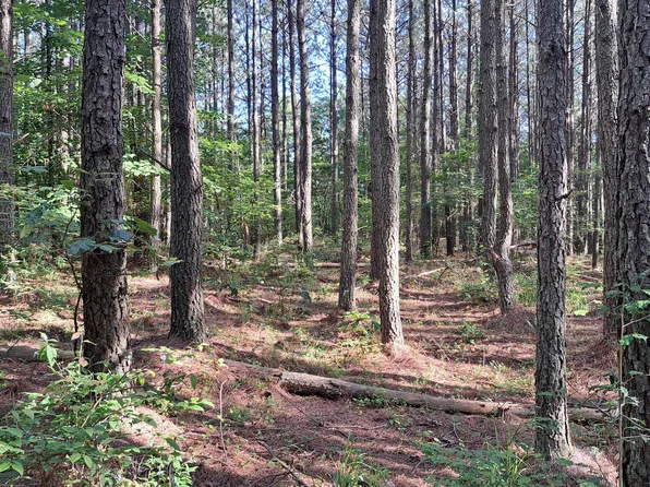 Airport Road Pca Lot 6, Rockwood, TN 37854