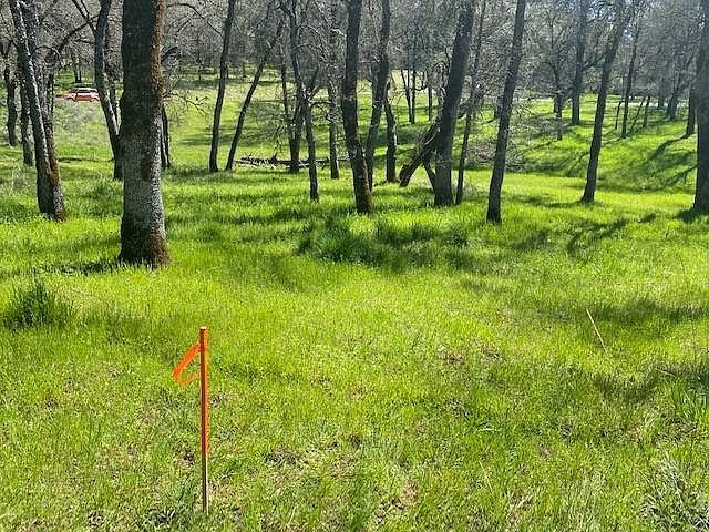 1st image of 23360 Darkhorse Dr