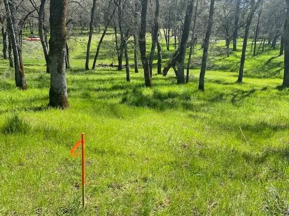 23360 Darkhorse Dr, Auburn, CA 95602