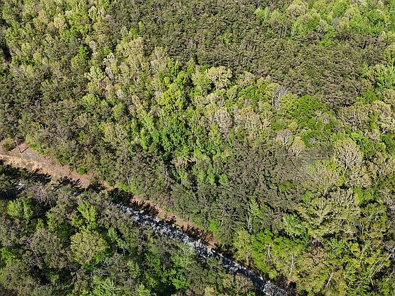 Dji Fly 20260409 155314 0021 1775768268843 Photo