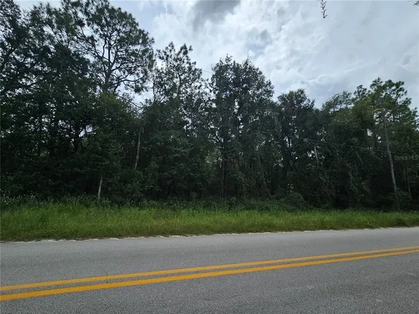 9830 NE 65th Ln Lot 2, Bronson, FL 32621