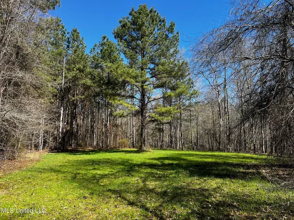 Garrigues Rd, Louisville, MS 39339