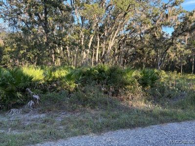 10553 S Belle Point, Homosassa, FL, 34446