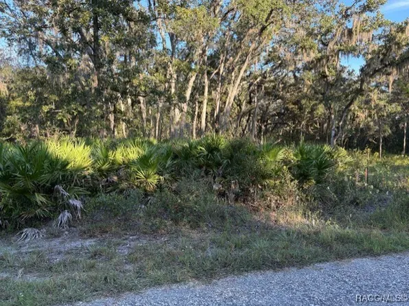 10553 S Belle Point, Homosassa, FL 34446