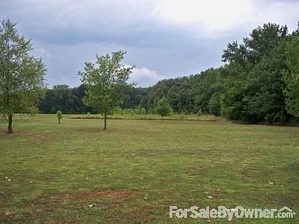 Back Yard ~ 5 acres