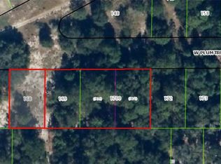 2682 W Plumtree Ln, Dunnellon, FL 34433