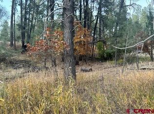 616 Forest Lakes Dr, Bayfield, CO 81122