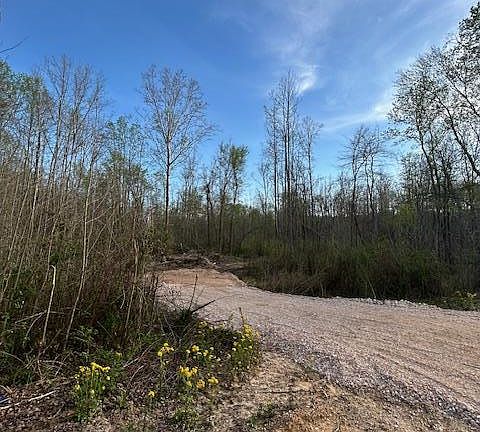 4th image of 0 Copper Springs Rd