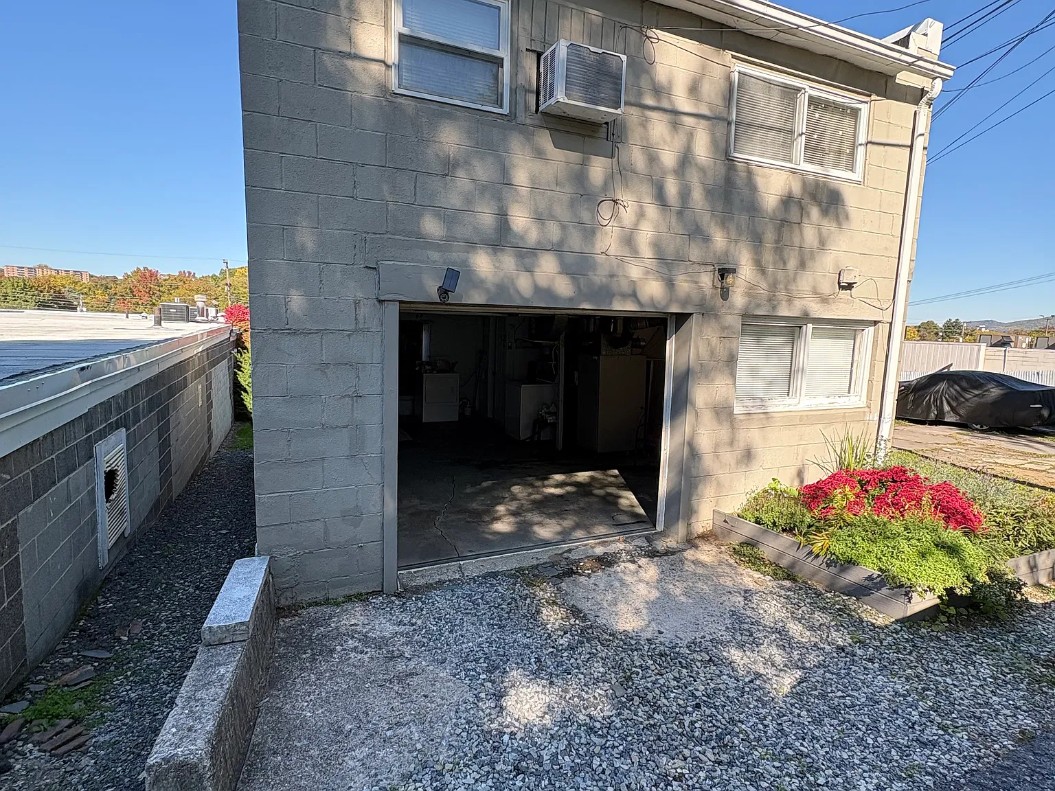 1 bed, 800 sqft, $975 — Photo 3