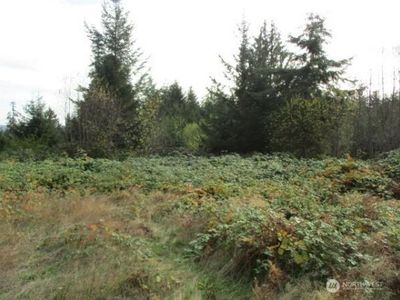 0 No Site Address, Pt Ludlow, WA, 98365