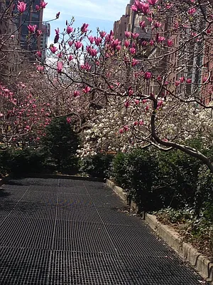 Rented by Nest Seekers International | media 10