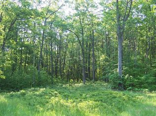 McIntire Rd, Comins, MI 48619