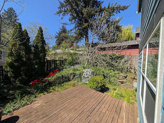 Backyard & deck