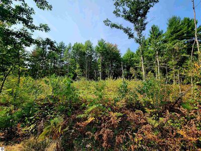 Lindroos Rd, Kaleva, MI, 49645