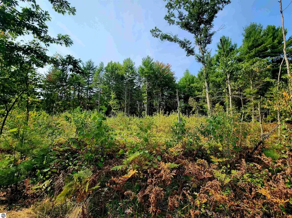 Lindroos Rd, Kaleva, MI 49645