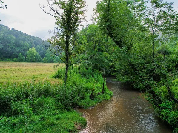 1055 New Liberty Rd, Ellijay, GA 30536