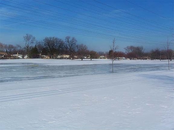 Backyard view of park