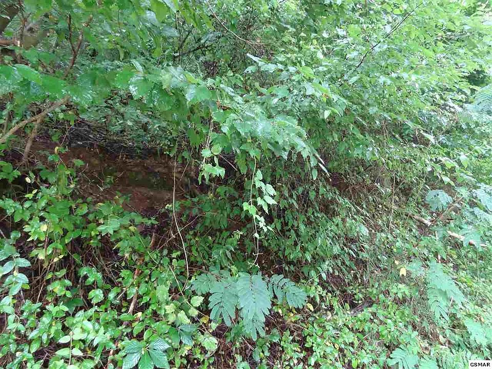 2nd image of 0 Dunn Creek Rd Lot 0