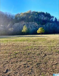 2219 Lincoln Rd #1, Oneonta, AL, 35121