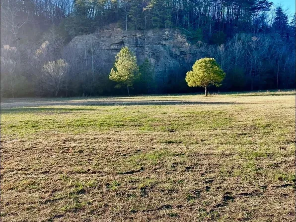 2219 Lincoln Rd #1, Oneonta, AL 35121